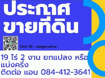 ขายที่ดิน 19 ไร่ 2 งาน อ.ดอนเจดีย์ จ.สุพรรณบุรี ที่สวยมาก ติดคลองชลประทาน ใกล้ชุมชน อยู่ในเขตเทศบาล เจ้าของขายเอง โทร 084-4123-641